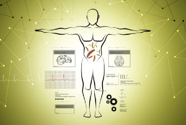 The pharmacology, metabolites, and mechanism of sibutramine API powder?